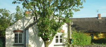 Charming Pair of Irish Cottages in enchanting Adare Countryside