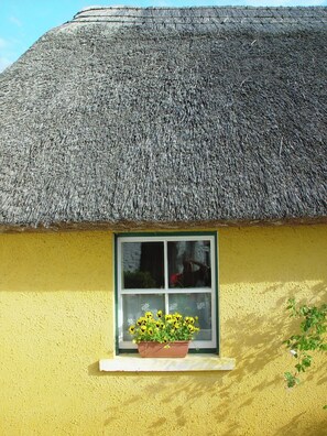 Exterior detail - Charming Pair of Irish Cottages in enchanting Adare Countryside (Adare)