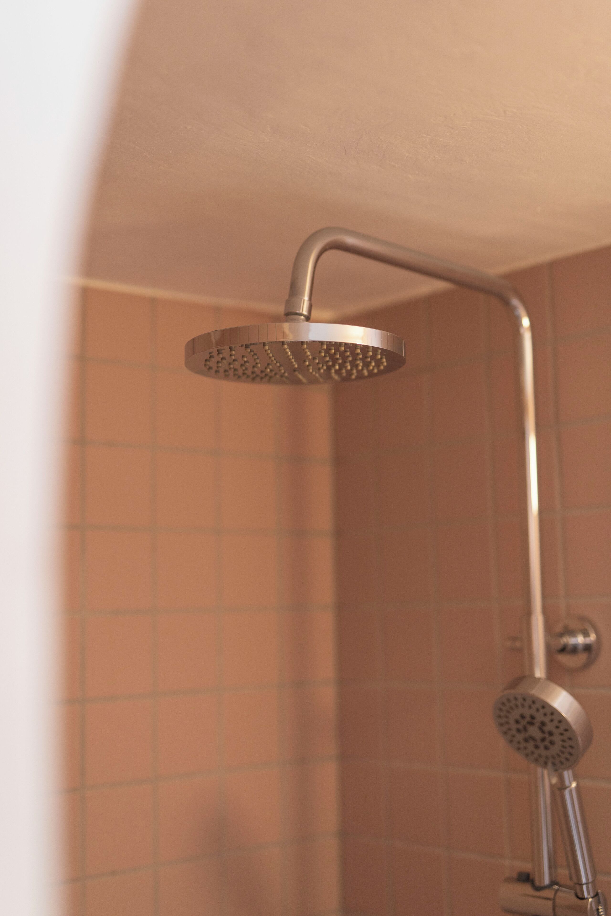 A showerhead with a curved design and a handheld attachment.