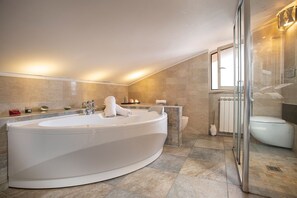 Shower, jetted bath, hair dryer, bidet