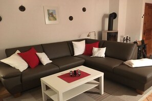 TV connectée, cheminée, jeux vidéo, lecteur de DVD