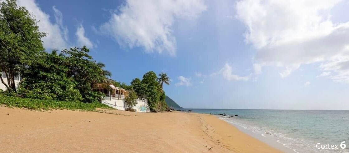 Una playa con un edificio de paredes blancas y techo de paja, rodeado de exuberante vegetación.