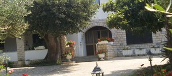 Licul Modern retreat