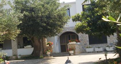 Licul Modern retreat