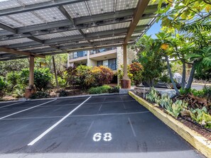 Property grounds - Kalanikai 118 Highly Walkable! (Kailua-Kona)