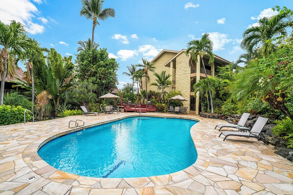 Pool - Kalanikai 118 Highly Walkable! (Kailua-Kona)