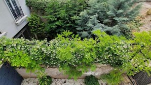 A rooftop garden with various plants and a decorative tile border.