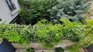 A rooftop garden with various plants and a decorative tile border. - Ararar apart superior apartman (Fatih)