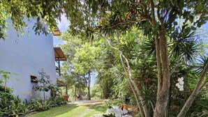 A pathway leading to a building surrounded by lush greenery and a bicycle.