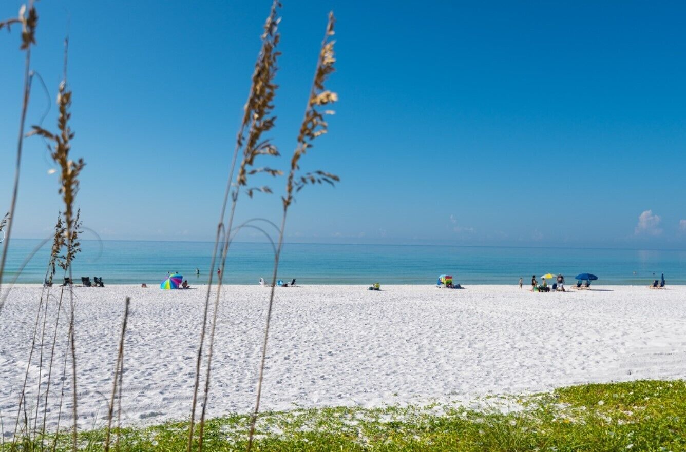 Playa en los alrededores 