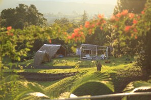 Property grounds - Bohio in the mountains of Colombia (Dagua)