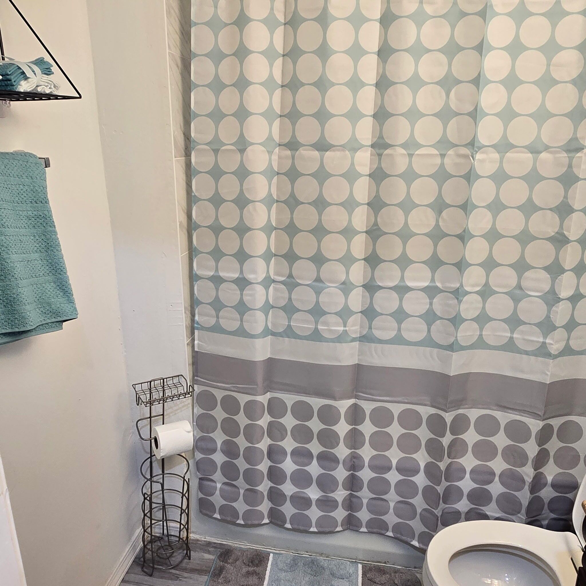 Hair dryer, towels, soap, toilet paper