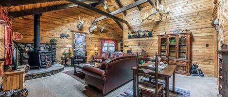 TV, fireplace, DVD player, books