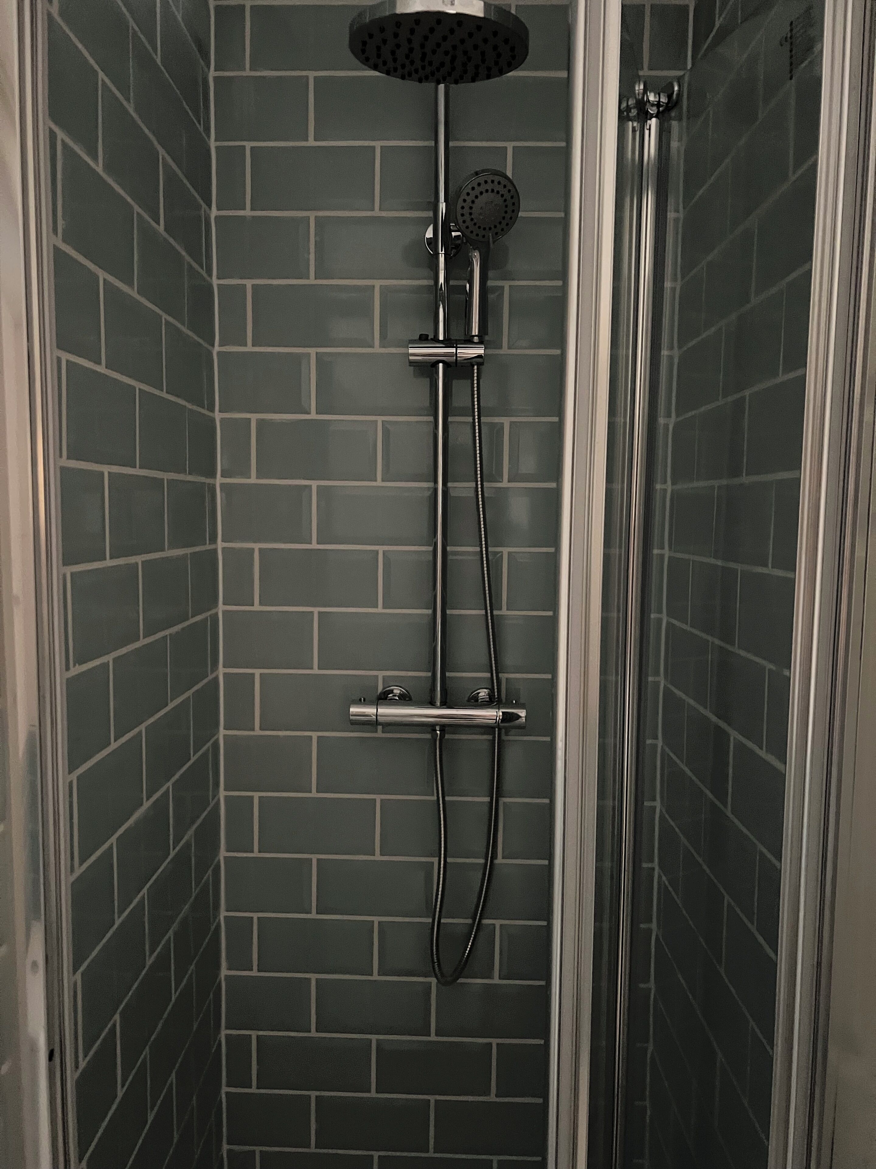 Shower, towels, toilet paper