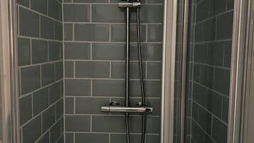 Shower, towels, toilet paper