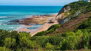 Un paisaje costero con playa, acantilados y vegetación.
