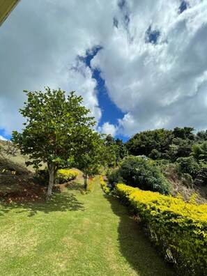 المنطقة المحيطة بالمنشأة