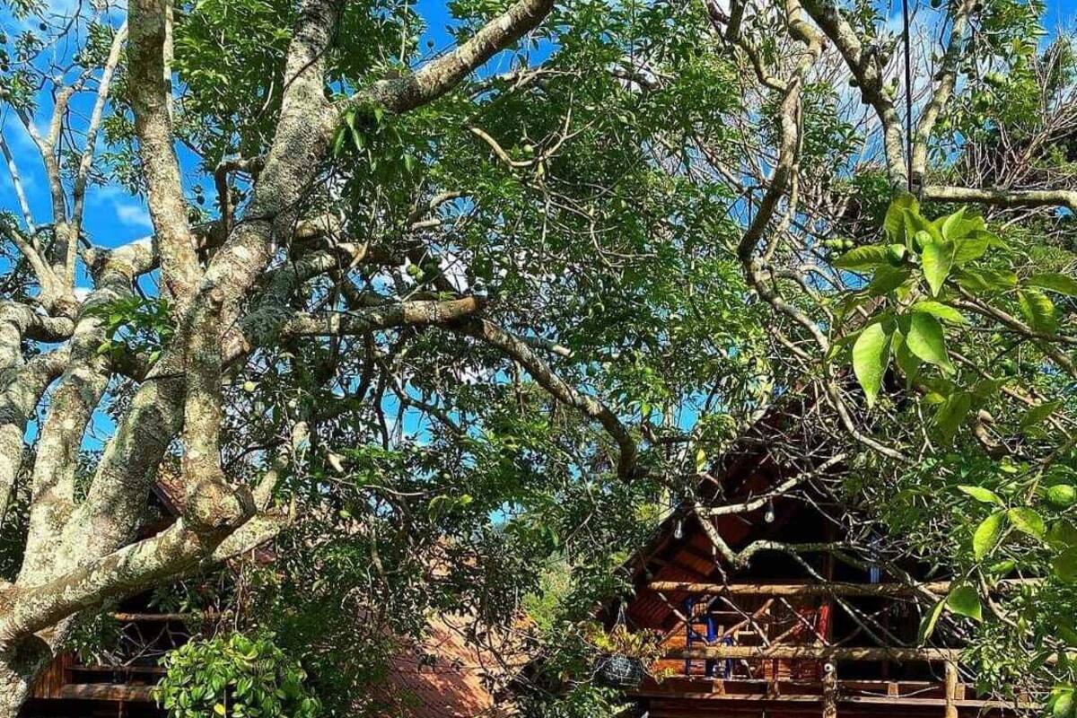 Familien-Ferienhütte, Gartenblick | Kostenloses WLAN, Bettwäsche