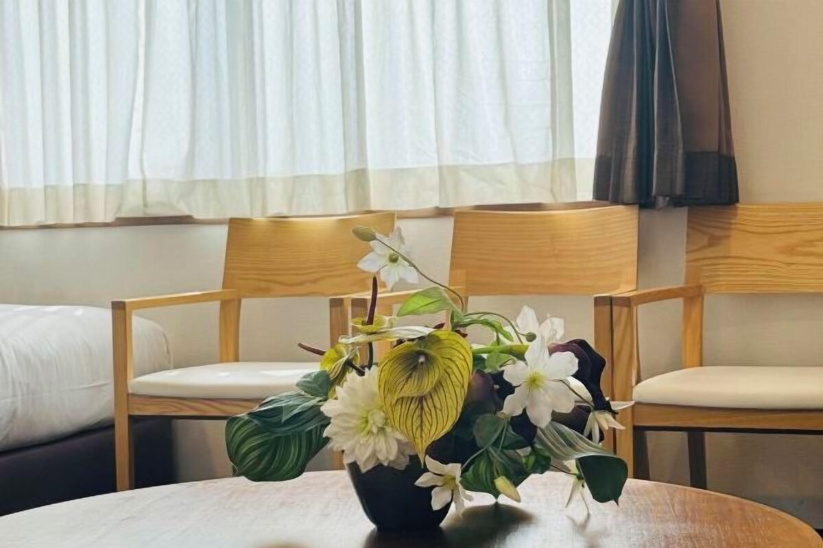 Desk, blackout drapes, WiFi (free)