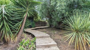 Un sentier en bois traverse un jardin où l’on trouve différentes espèces de plantes et d’arbres.