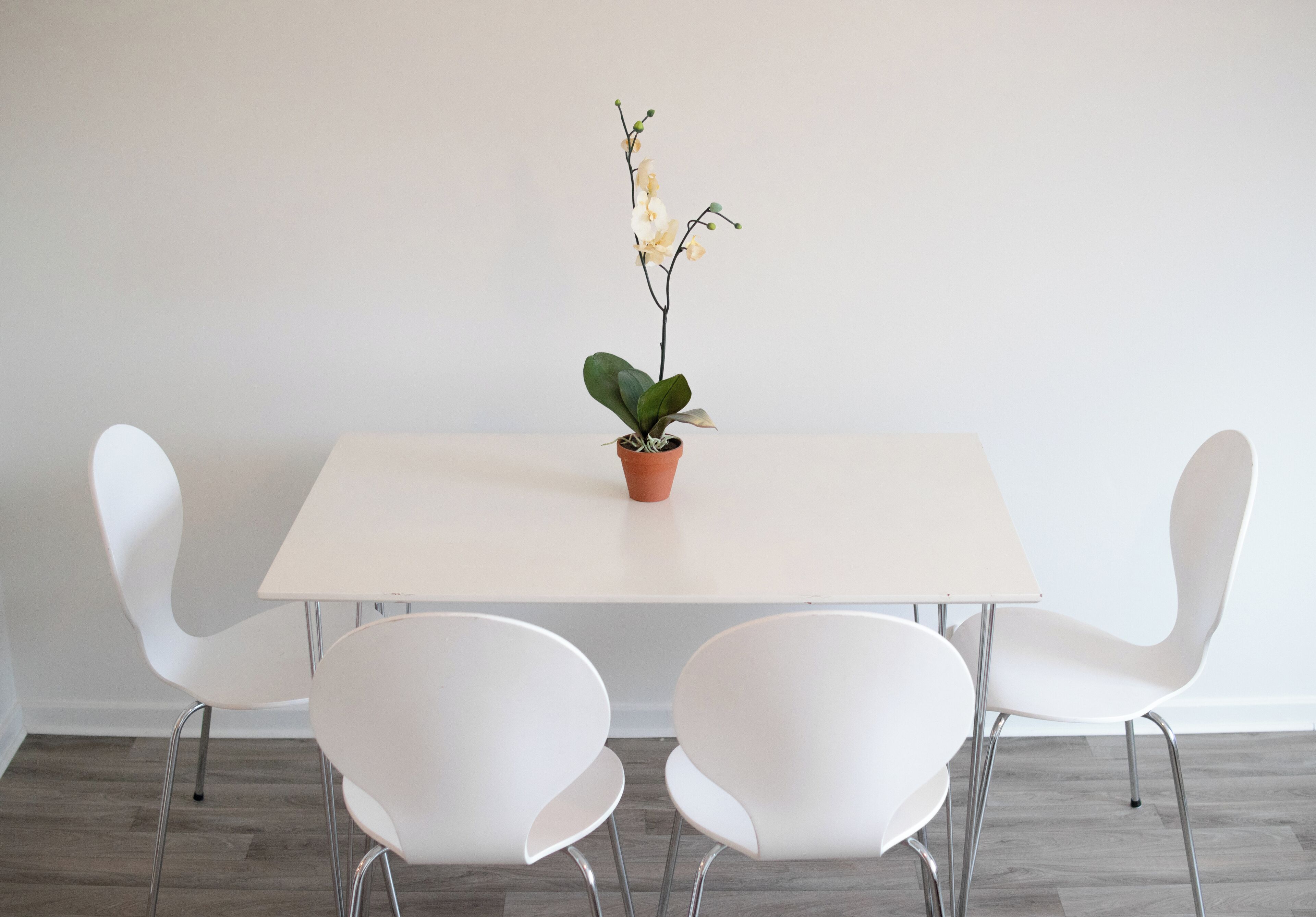 A minimalist dining area with a white table and four white chairs.