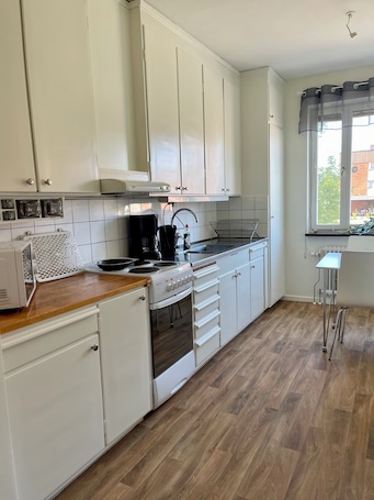 Full-size fridge, microwave, oven, stovetop
