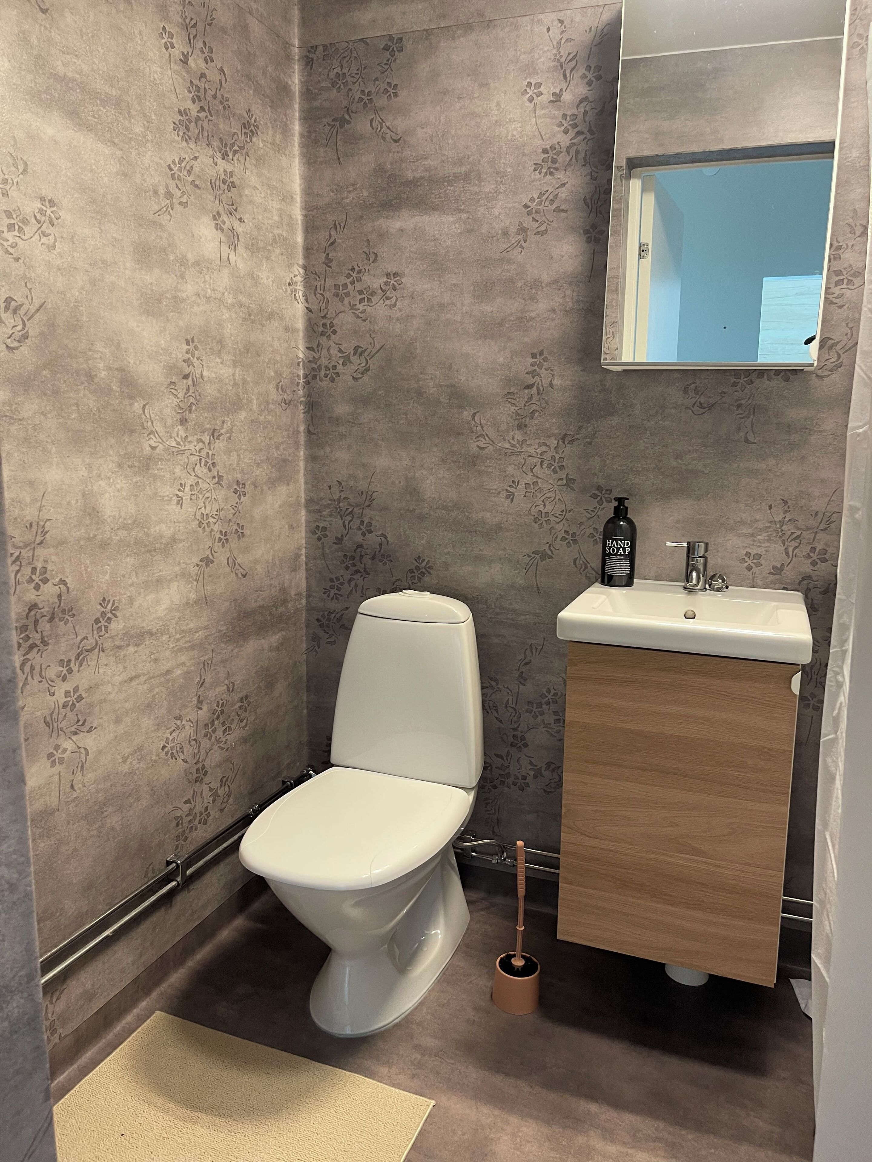 A bathroom with a toilet, a sink, and a mirror.