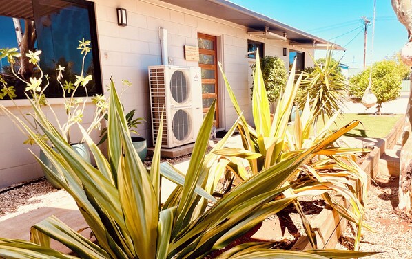 Exterior detail - 3 bedroom house close to town centre and shops (Exmouth)