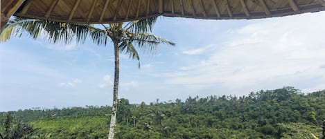Deluxe Villa with Valley View | View from room