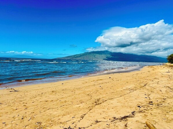 Beach - New- Beach Condo an easy 75 steps to the Beach, Pool, Restaurants. (Kihei)