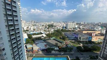 Deluxe Apartment, 1 Bedroom, City View | View from room