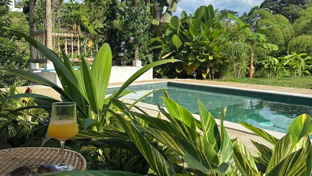 Un área junto a la piscina con una pérgola, abundante vegetación y un vaso de jugo de naranja sobre una mesa de mimbre.