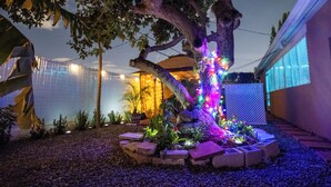A tree with colorful lights, a garden with plants, and a building with a fence in the background.