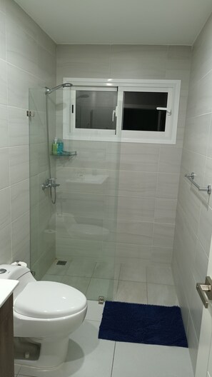 Hair dryer, towels, soap, toilet paper