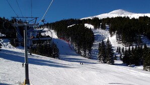 Snø- og skisport