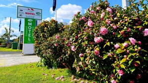 Segnaletica motel con una bandiera, circondata da fiori rosa in fiore.