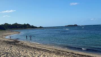 Apartment, 1 Bedroom, Smoking, Terrace | Beach | Beach nearby