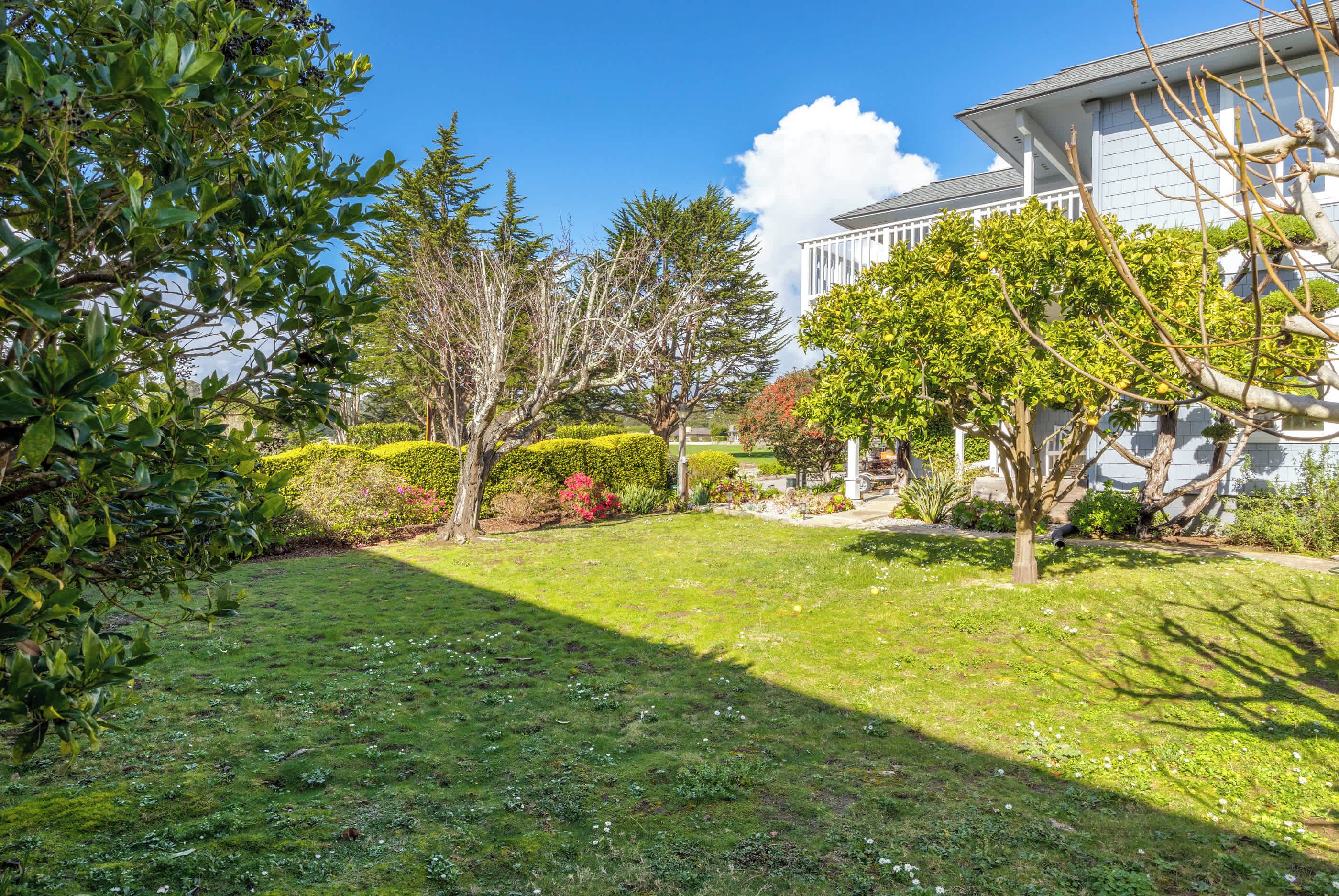 A well-maintained garden with a lawn, various shrubs, and trees.