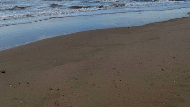 Een strand met een heldere lucht en rustige golven.