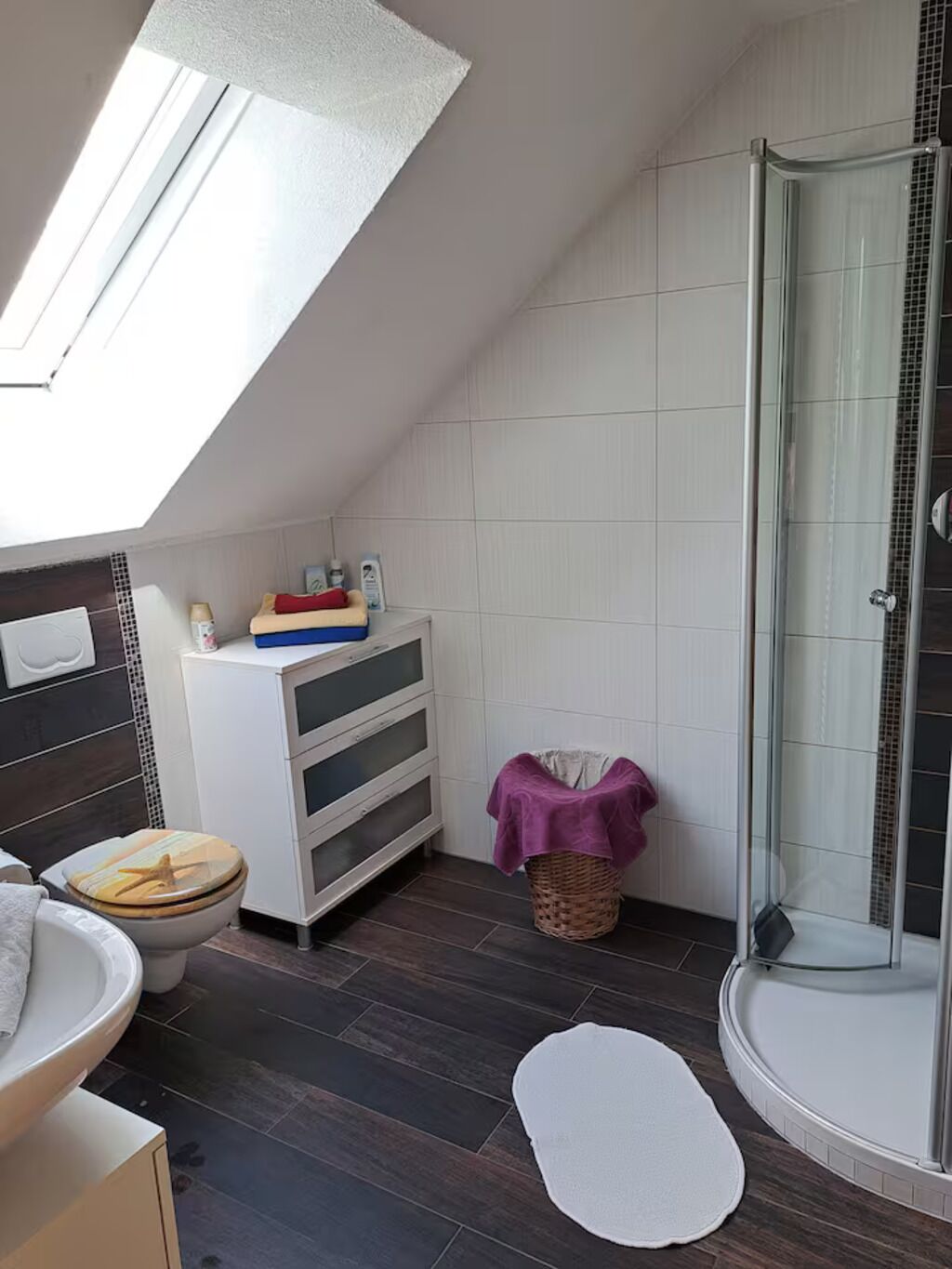 Een compacte, moderne badkamer met dakraam, een douchecabine van glas en een witte wastafel.