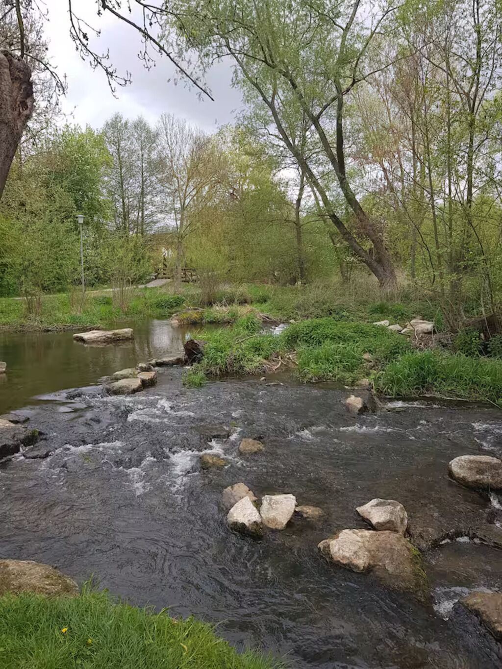 A natural stream with rocks and greenery.