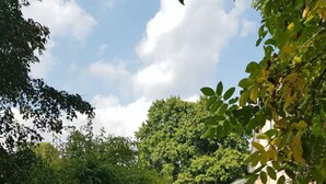A hammock under a tree in a garden with a house in the background. - Modern 2-room attic apartment in the heart of the Rhön (Ostheim vor der Rhön)