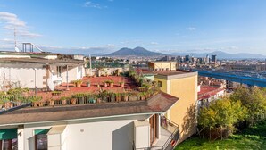 Un jardin sur le toit, agrémenté de plantes en pot, offrant une vue sur le paysage urbain et une montagne à l’horizon.