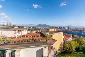 Un jardín en la azotea con plantas en macetas, vistas de la ciudad y una montaña al fondo.