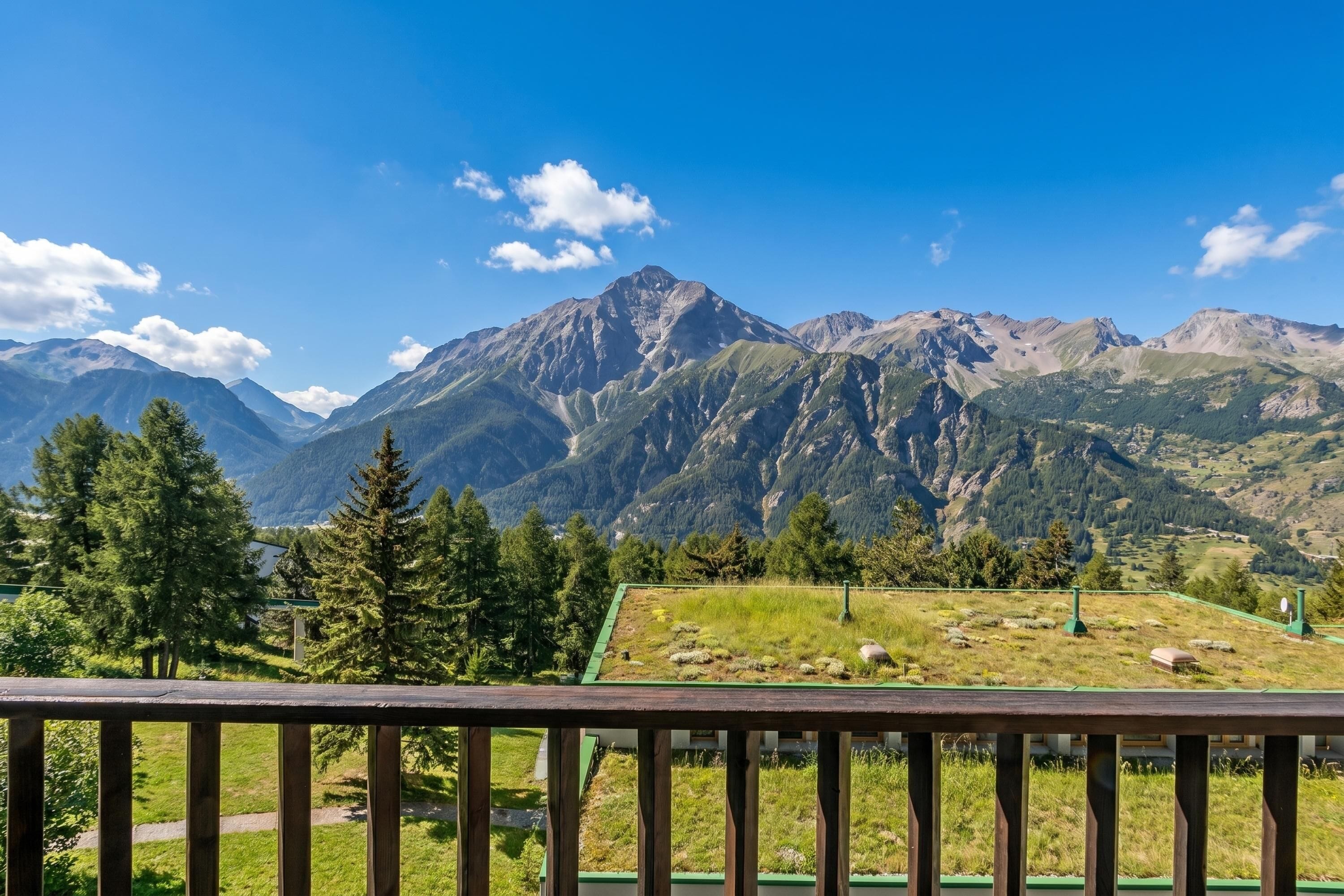 Monolocale Standard, vista montagna (Studio Sansi 34) | Parco della struttura