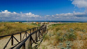 Une promenade en bois qui mène à une plage bordée de dunes, sous un ciel bleu et dégagé.