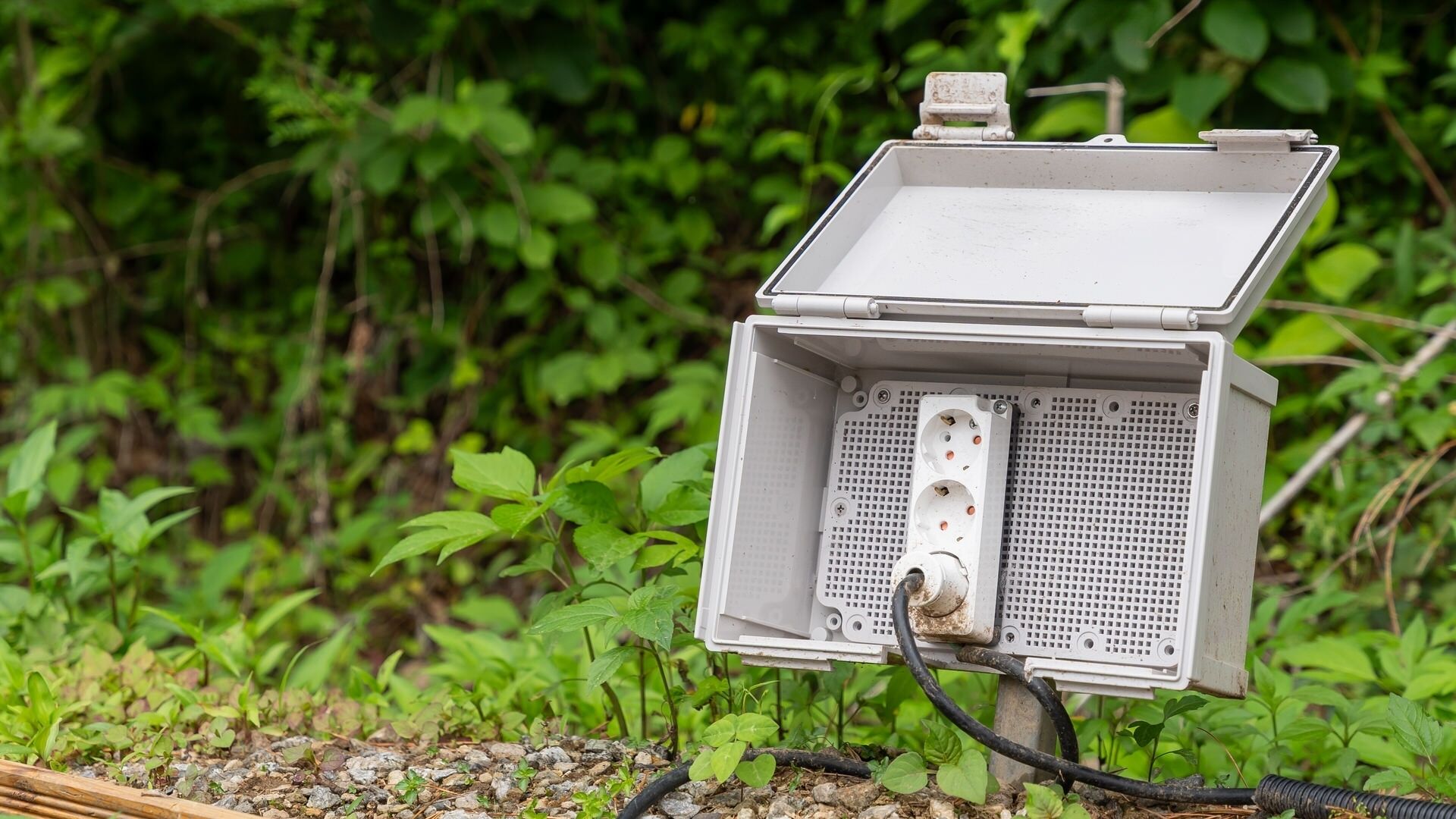 A metal electrical box with a hinged cover, mounted on a post with a cable connected to it, set against a backdrop of greenery.