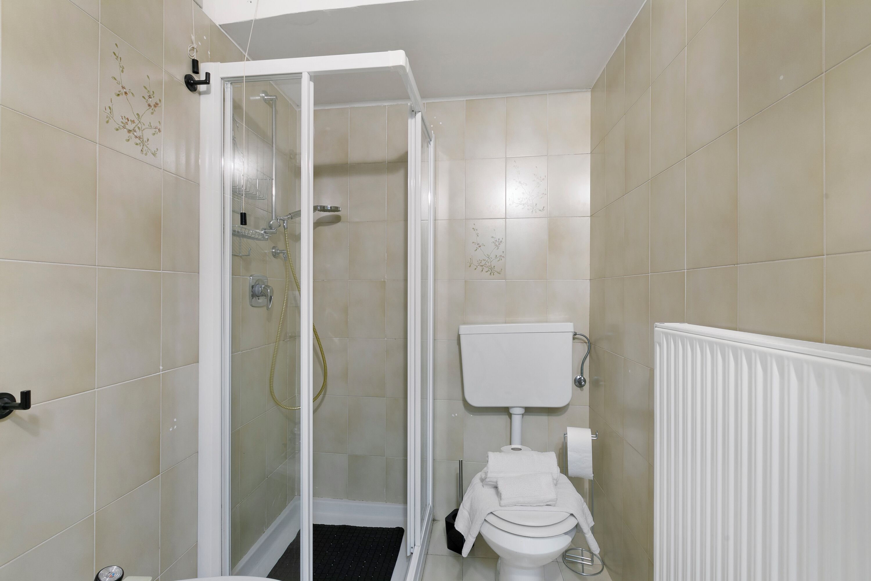 Ein Badezimmer mit Duschkabine, Toilette und Handtuchheizung.