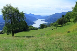 Un paysage vallonné avec un lac, des arbres et un ciel dégagé.