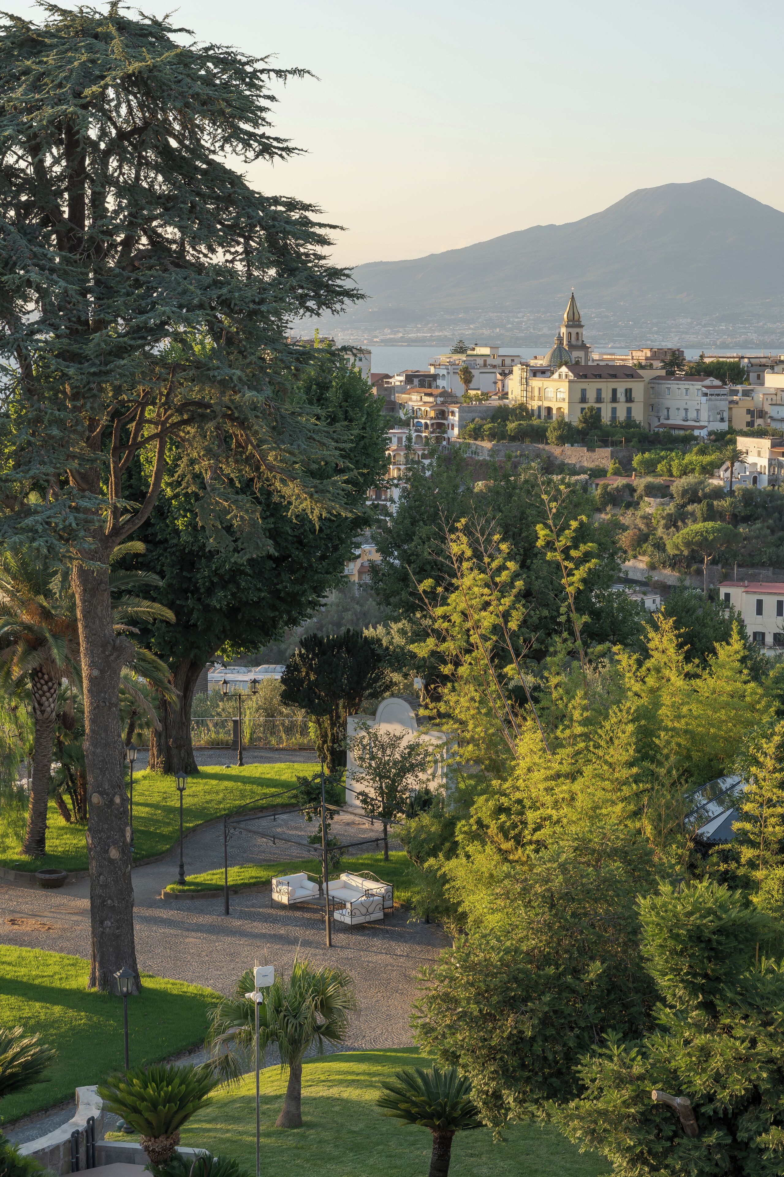 A park with a large tree, a small pond, and a building with a dome in the background.